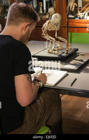 Élève dessin singe squelette, Londres Angleterre Royaume-Uni Banque D'Images