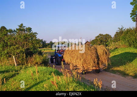 Paysage rural - tracteur passe sur chemin de sable avec remorque chargée de foin. Banque D'Images