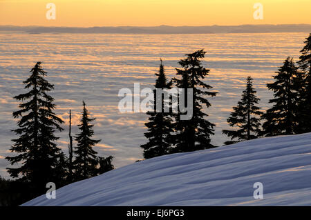 Au cours de l'inversion des nuages bas Fraser de Mount Seymour Provincial Park, N. Vancouver, Colombie-Britannique, Canada Banque D'Images