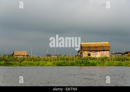 Ferme flottante et chalet sur le lac Inle, l'État de Shan, Myanmar Banque D'Images