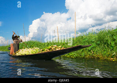 Canoe et ferme flottante sur le lac Inle, l'État de Shan, Myanmar Banque D'Images