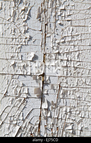 couleur Pelée Banque D'Images