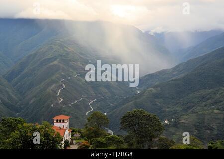 Végétation luxuriante jungle Yungas Coroico, Bolivie près de Banque D'Images