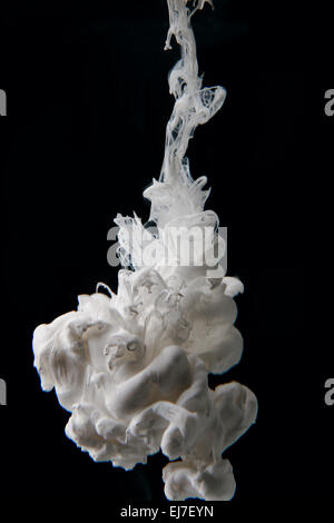 Dans l'eau d'encre blanche Banque D'Images