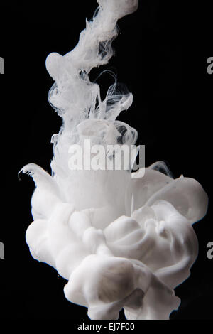 Dans l'eau d'encre blanche Banque D'Images