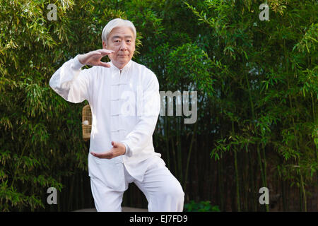 Un vieil homme est la pratique du Tai Chi Banque D'Images