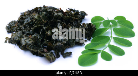 Poêlée de feuilles de moringa et vert sur fond blanc Banque D'Images