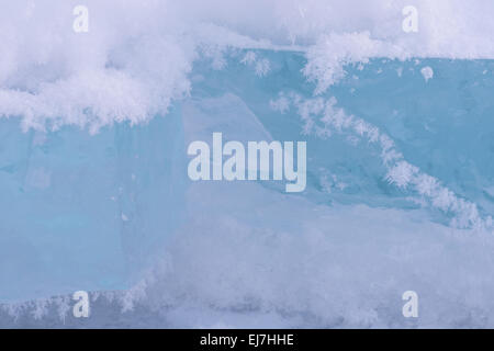 Plaque de glace, Abisko NP, Laponie, Suède Banque D'Images