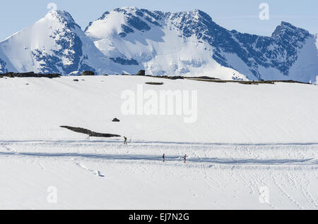 Les skieurs, NP, Jotunheimen Oppland, Norvège Banque D'Images