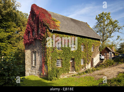 Tueshaus mill, Dorsten, Allemagne Banque D'Images