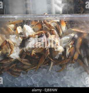 Le Crabe royal d'Alaska sur la glace Banque D'Images