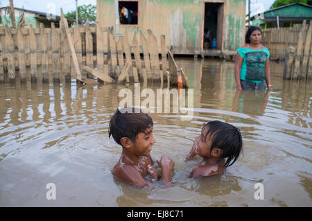 2015 Inondations en Amazonie brésilienne - les enfants jouent dans les eaux sales de la rivière Acre à Taquari, district de la ville de Rio Branco, l'état d'Acre. Les inondations ont touché des milliers de personnes dans l'Etat d'Acre, dans le nord du Brésil, depuis le 23 février 2015, lorsque certaines des rivières de l'état, en particulier l'Acre, la rivière a débordé. De plus fortes précipitations a forcé les niveaux de la rivière plus haut encore, et le 03 mars 2015, le gouvernement fédéral du Brésil a déclaré l'état d'urgence dans l'état d'Acre, où les conditions d'inondations situation a été décrite comme la pire en 132 ans. Banque D'Images