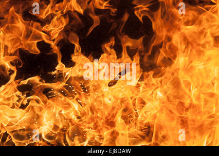 De belles flammes feu élégant, close-up. Banque D'Images