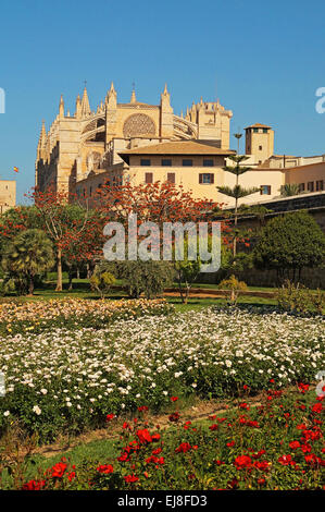 Cathédrale de Palma de Majorque Espagne Banque D'Images