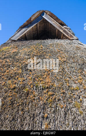 Le toit couvert de paille, close-up Banque D'Images