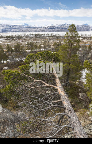 Lake Akkajaure avec Sarek NP, Laponie, Suède Banque D'Images