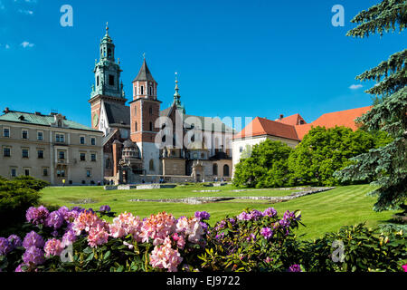 Wawel à Cracovie Banque D'Images