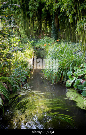 France, Europe, Giverny, Claude Monet, les jardins de la Fondation de la maison de Monet Banque D'Images