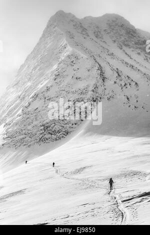 Les skieurs en tournée, Stuor Reaiddavaggi, Laponie Banque D'Images