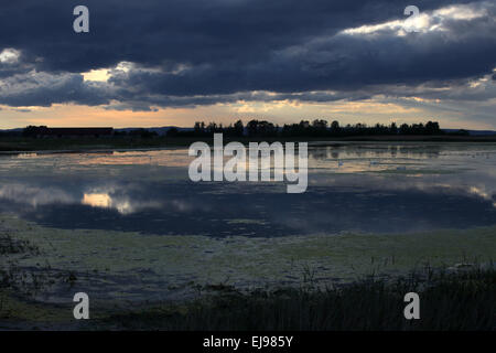 Parc national du lac de Neusiedl, Autriche Banque D'Images