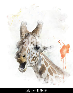 Aquarelle Image de girafe Banque D'Images