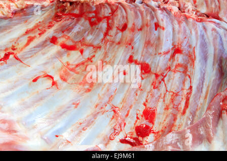 Carré d'agneau cru close up Banque D'Images