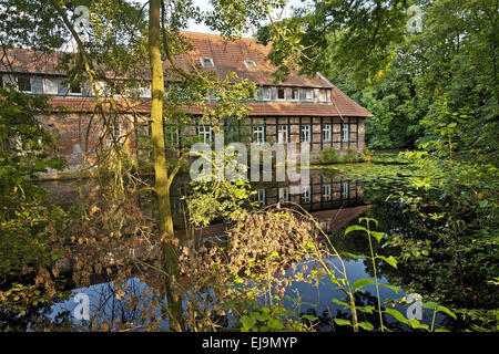 Château Senden, Allemagne, Rhénanie du Nord-Westphalie Banque D'Images