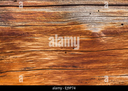 De fond bois du tronc de cèdre Banque D'Images