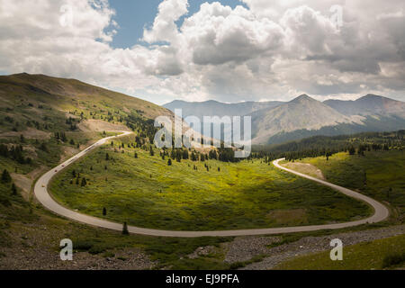 Grand col Cottonwood sur horseshoe bend Banque D'Images