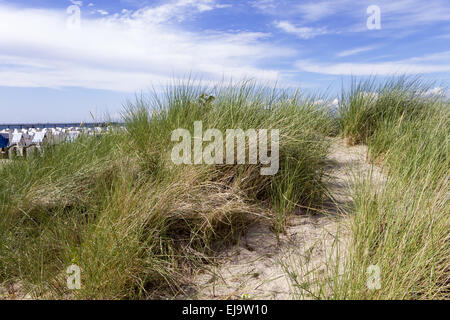 dune Banque D'Images