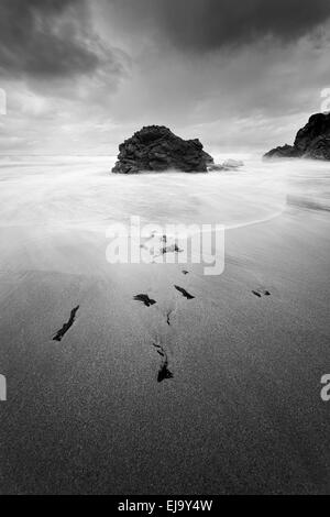 Des algues sur la plage de sable de la baie de Sango, près de Durness. Banque D'Images