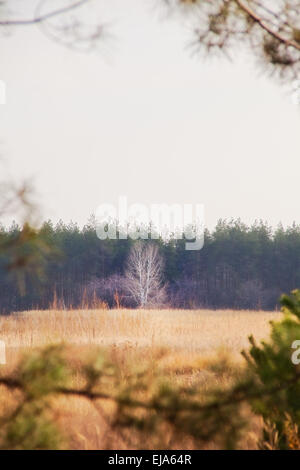 paysage Banque D'Images