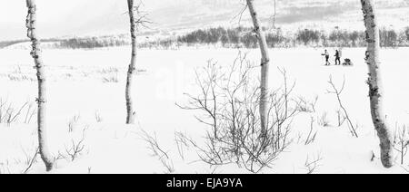 Les skieurs sur le lac Abiskojaure, Laponie, Suède Banque D'Images