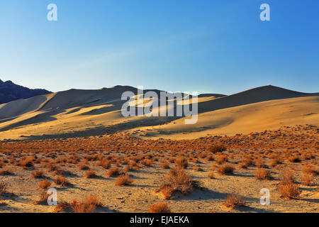 La plage de sable du désert de dunes à Eureka Banque D'Images