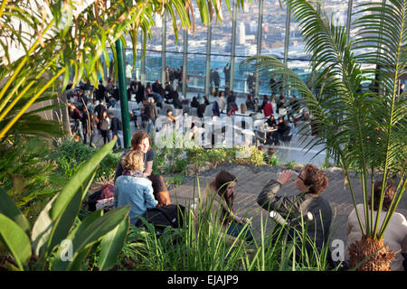 Jardin du ciel en haut de 20 Fenchurch Street (talkie walkie) à Londres, Angleterre Banque D'Images