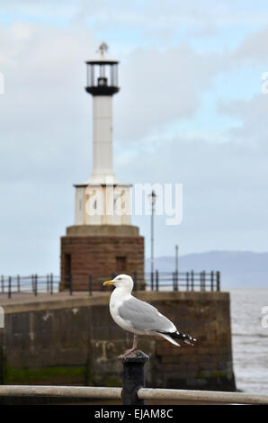 Maryport Phare est un petit phare situé dans Bristol, Cumbria, Angleterre. Banque D'Images