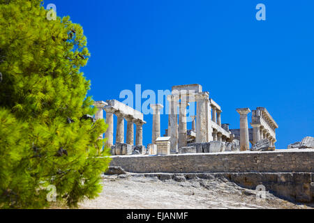 Ruines du temple sur l'île Egine, Grèce Banque D'Images