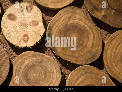 Mur de journaux empilés, texture de fond naturel, Espagne Banque D'Images