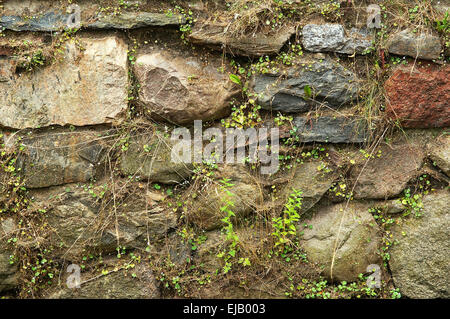 Mur en pierre des champs Banque D'Images