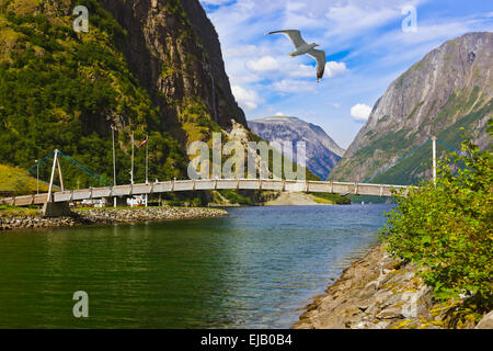 Fjord de Sogn - Pont à travers la Norvège Banque D'Images