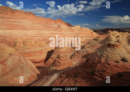 Coyote Buttes North La Vague Banque D'Images