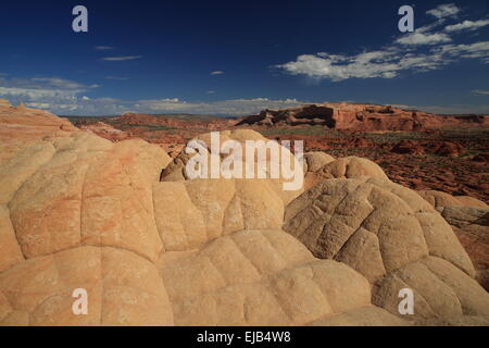 Coyote Buttes North La Vague Banque D'Images