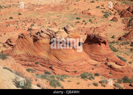 Coyote Buttes North La Vague Banque D'Images