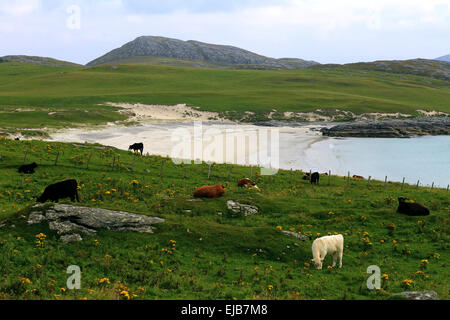 Vatersay, Hébrides extérieures, en Écosse Banque D'Images