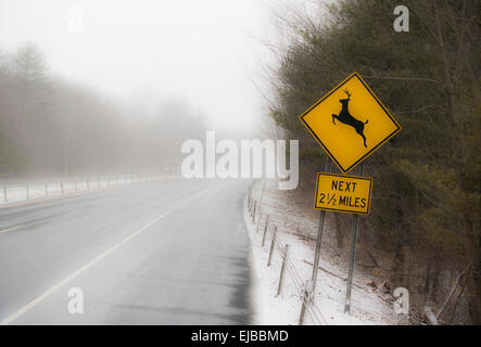 Deer crossing sign sur la route en hiver Banque D'Images