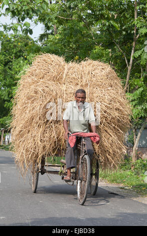 Tricycle rickshaw l'exercice Charge de foin près de Cooch Behar, West Bengal, India Banque D'Images