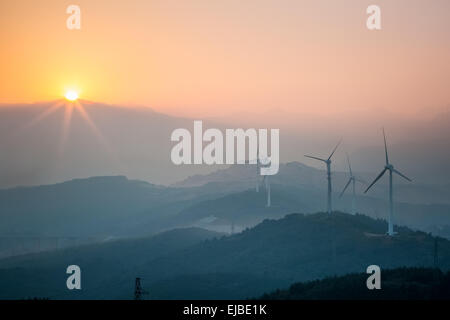 Wind farm in sunset Banque D'Images