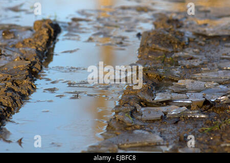 sol brisé de glace boueuse sale Banque D'Images