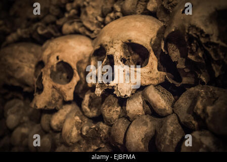 Les crânes et les os dans les catacombes de Paris Banque D'Images