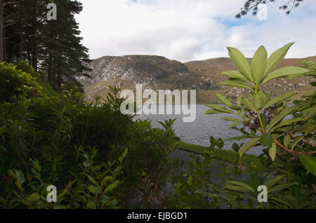 Une vue sur le parc national de Glenveagh, comté de Donegal, Irlande Banque D'Images